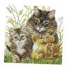 Needlework Crafts Stamped Stitch Pre-printed Cat Pattern DIY Gifts - 14CT 34x34cm