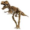 Dinosaur Craft Tyrannosaurus Rex VT026 EDU-TOYS 51-Piece Kit,