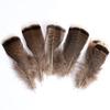 80 Natural Pheasant Feather Decorative Diy Jewelry Hair Accessories Material Cat Stick Toy Accessories