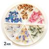Butterfly Nail Parts Set KN-S2025, 2 Sets, Mixed Colors