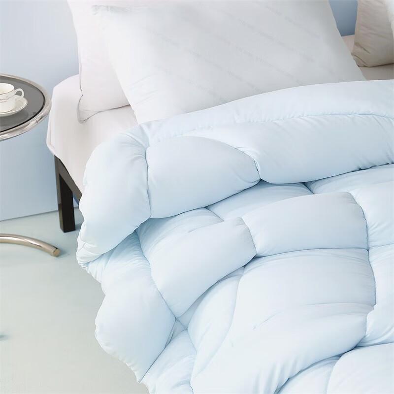 Mercury Home Textiles All-Season Antibacterial Duvet Insert
