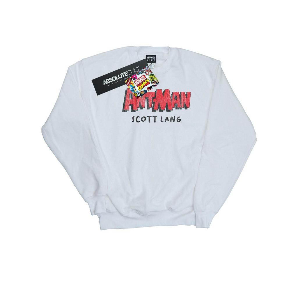 Marvel Mens Ant-Man AKA Scott Lang Sweatshirt
