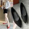 Temperament Velvet Pointed Single Shoes Women's Spring and Summer New Shallow Mouth High-end Niche Soft-soled Ladyshoes Work Shoes