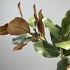 Rubber Leaves Simulated Magnolia Tree Branch Handmade Artificial Plants  Living Room