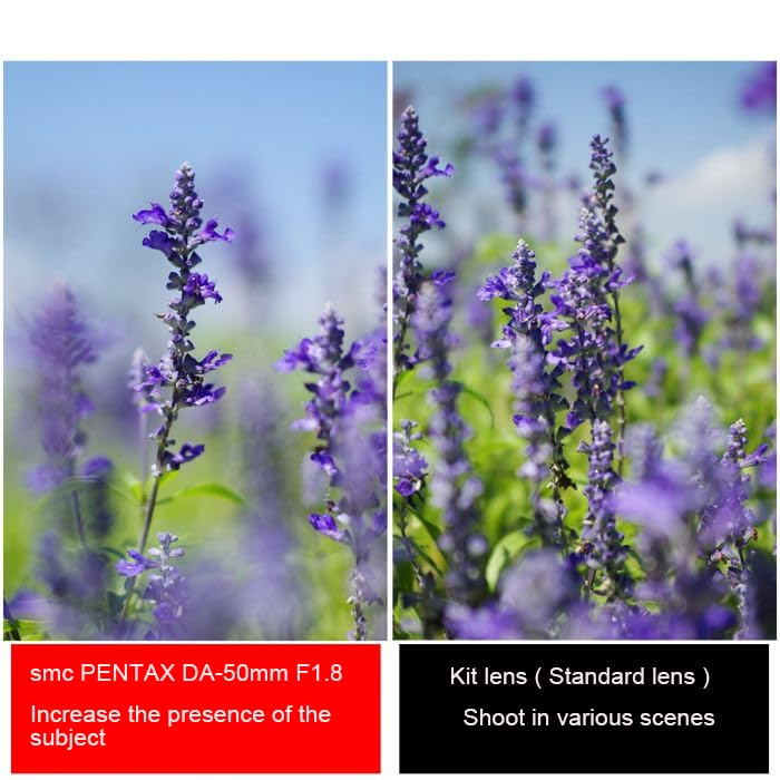 Pentax Smc Medium Telephoto Single Focus Lens Depiction and K Series Is Equipped with Image 22177 PENTAX-DA 50mmF1.8 [For APS-C Size] [High