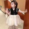 Girls Dress Children Clothes Fashion Birthday Princess Chiffon Baby Girl Dress V-neck Dresses for 1-8Y Kids