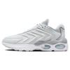 New Air Max TW Pure Platinum DV7721-002