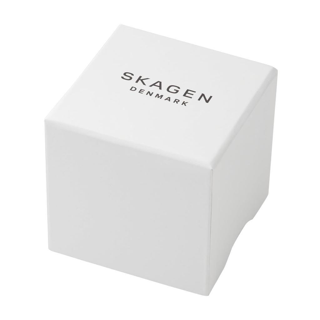 Watch Signatur SKW6904 Silver [Skagen] Men's