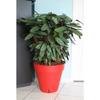 Flower Pot - - Loft with Water Reservoir - Round - Ø 49 X H 45 Cm - 50L - Red