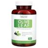 Olive Leaf, 750Mg, 120 Capsules