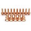 176655 Electrodes WSP-20028 Plasma Tips 176656 Tips