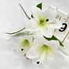 Lilium Plant Simulated Spp Wedding Hotel Restaurant Desktop Props Decoration