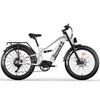 Tifgalop ES7 Electric Bike 26Inch 750W 52V19AH Full Suspension Mountain Bike