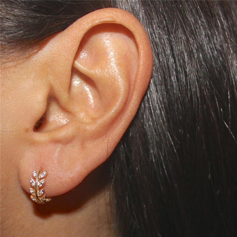 Fashionable Branch Diamond Earrings, Simple and Elegant Willow Leaf Earrings