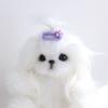 Pet Hairpin Handmade Colorful Cartoon Ultra-Light Easy-wearing Decorative DIY Flower Dog Cat BB Clip