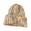 New Women's Autumn and Winter Outdoor Knitted Hats Warm Big Head Circumference Cold-proof Wild