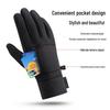 Ailan Huijia HX Winter Outdoor Sports Gloves