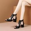 Fashion Soft Sandals Woman ,Summer High Heels Shoes ,Sexy Hollow Out ,Peep Toe ,Rome Style ,Black ,Brown ,Beige ,Dropship