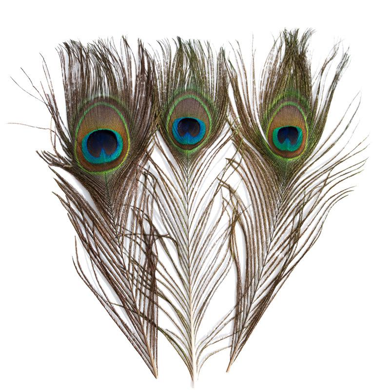 80 Natural Pheasant Feather Decorative Diy Jewelry Hair Accessories Material Cat Stick Toy Accessories