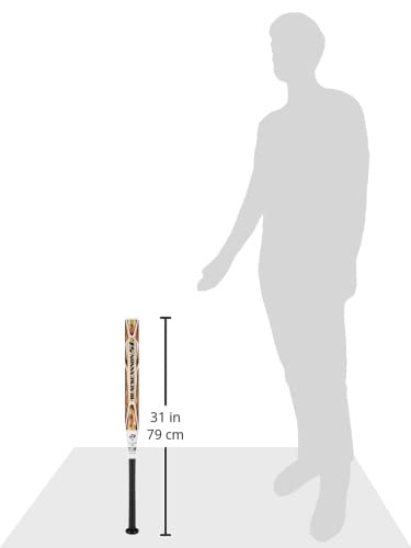 ZETT Softball Bat Black Cannon 5L FRP 78cm 560g Average Gold BCT52218 (Carbon) (8200)