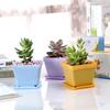 Large Colorful 10cm Square Succulent Plant Pots - Black Plastic