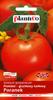Dwarf Ground Tomato Morning Vegetable Seeds for the Garden 1g