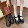 Retro Versatile Round Head Heightened Platform Mary Jane Shoes Women's 2025 New Spring French Thick Heel Light Mouth Single Shoes
