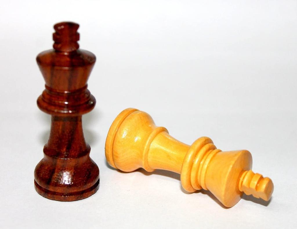 StonKraft Edition Wooden Chess Chessmen Figurines Collector's Pieces, Coins, Pawns, (3" Brown)