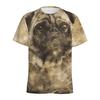 Beijing Standard T-shirt for Men Children 3D Printed Animal Dog T-shirt RUA Super Large Short Sleeves