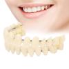 Make Your Own Dental Teeth Teaching Model 28 Pcs Dental Training Models  Dental Supply Accessory