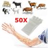 50Pcs Clear Disposable Vet Glove Plastic Farm Glove Soft Plastic Glove Artificial Insemination