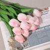 2 Bunch of PU Simulation Tulips