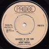7inch Record BOBBY WRIGHT - Seasons In The Sun PRO615 PROBE 1974 UK Folk Used