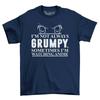 Not Always Grumpy Watching Anime Mens T-Shirt Top Men Gift For Him Novelty Shirt