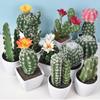 1PC Mini Fake Plants Without Pot Potted Plant Home Decor Plastic Cactus Artificial Flower Cute
