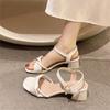 Fairy Style High-heeled Sandals Female Summer New High-end French Thick Heel One-word Roman Shoes
