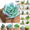 Simulation Artificial Succulent Fake Plants Plastic Flowers Home Floral Decor