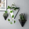Hanging Planter Vase Modern Houseplants for Succulent Plants Air Plant Cactus