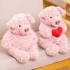 New Pig Plush Doll Doll Pig Plush Toy Girl Birthday Soothing Sleeping Gift