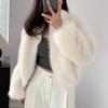 New Fur Coat Women's Short Temperament Lapel Wide Casual Fashion Plush Coat