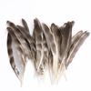 80 Natural Pheasant Feather Decorative Diy Jewelry Hair Accessories Material Cat Stick Toy Accessories