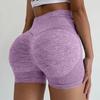 Women's Seamless Tight Fitting High Waisted Casual Shorts, Sports Yoga Shorts, Fitness Pants