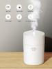 Mini Air Humidifier 220ML Mist Sprayer USB Rechargeable Aroma Diffuser Auto-off Super Mute for Home&Office Use with Night Light