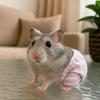 Absorbent Squirrel Diapers Breathable Groundhog Briefs  for Hamster Groundhog