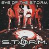 CD STORM - Eye Of The Storm STOCD413 Riddim House 2007 Europe Reggae, Ska & Dub