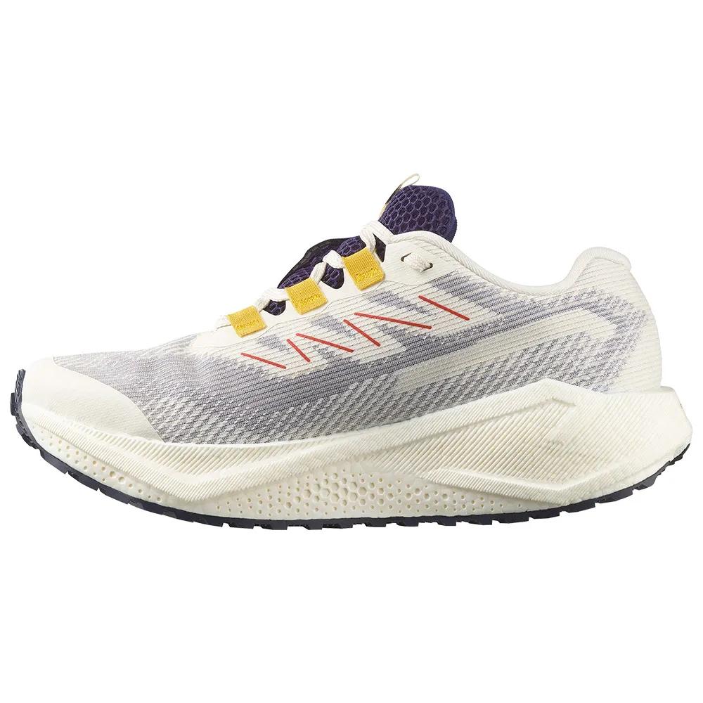 SALOMON Aero Blaze 3 Grvl Goretex Running Shoes