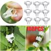 Plant Grafting Clips Mini Plastic Vegetable Fruits Plant Vine Bind Clamps Fruits Seeding Supports Connector Fixing Clips