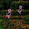 LED Bird Lamp Flamingo Neon Pile Solar Power Light Outdoor Fence Light Courtyard Garden Solar Led Lamp Waterproof Outside Deco
