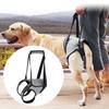 Ligament Rehabilitation Dog Support Harness Back Legs Pet Auxiliary Belt New Dog Support Sling Dog
