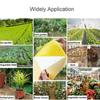 Glue Garden Supplies For Aphids Flies Bug Insect Trap Insect Killer Pest Control Sticky Board